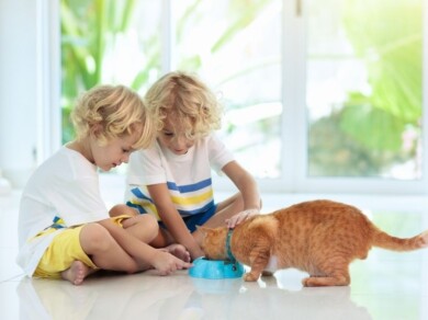 Como adaptar sua casa para visitas com crianças pequenas